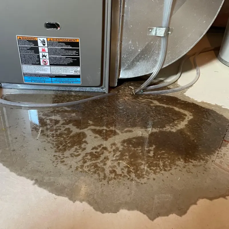 Appliance Leak Cleanup in Huguley, AL